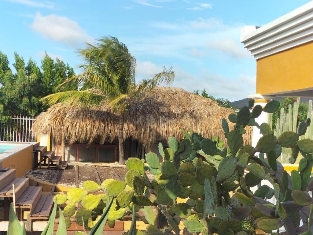 Landhuis Belnem Bonaire Bed & Breakfast Kralendijk  Ngoại thất bức ảnh